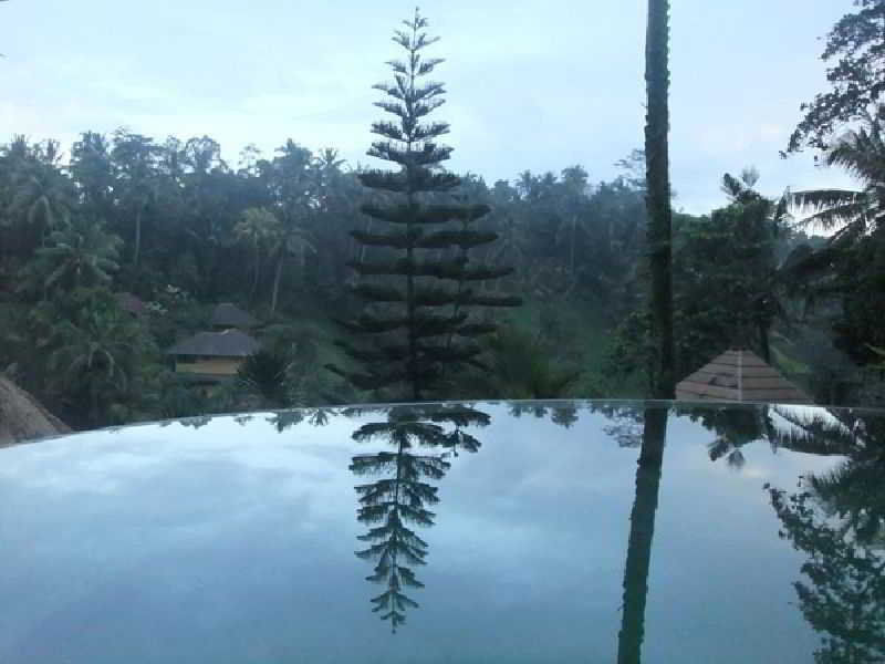 Graha Moding Villas Ubud  Exterior photo